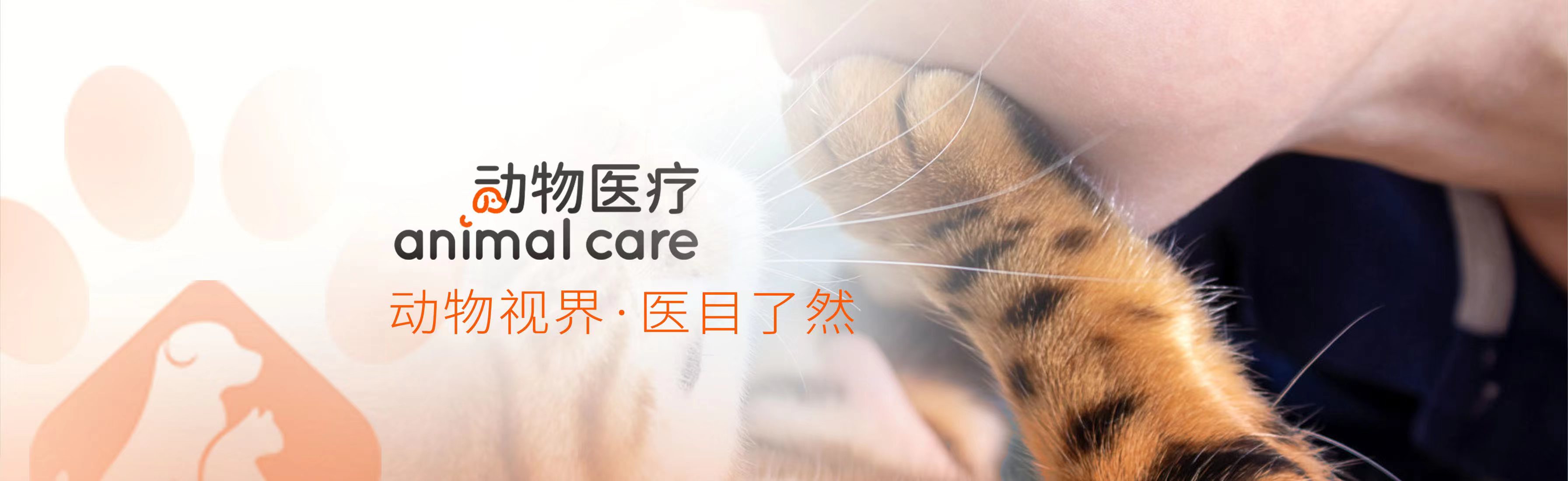 動物醫療